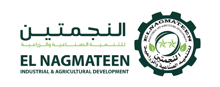 Nagmateen logo